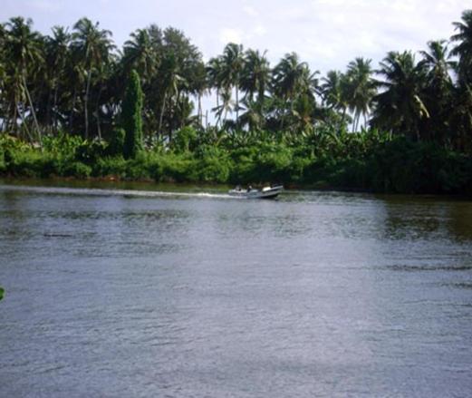 Ganga Garden Hotell Beruwala Eksteriør bilde