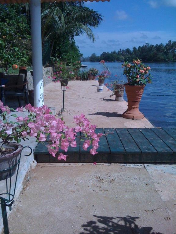 Ganga Garden Hotell Beruwala Eksteriør bilde